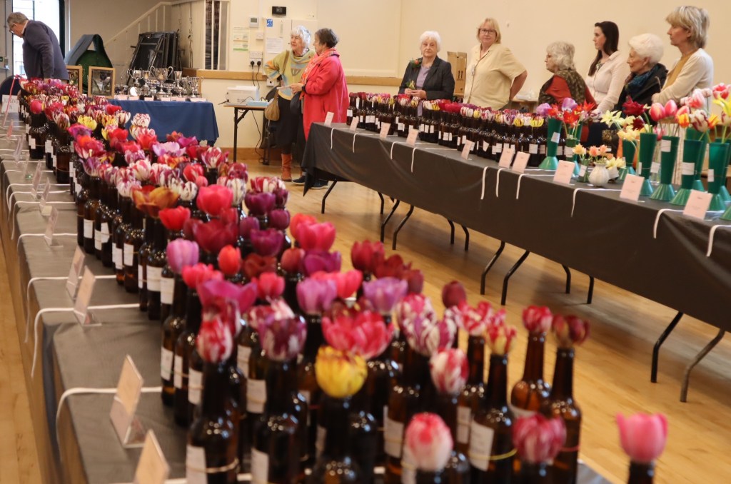 The 2026 Annual Show